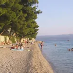 Ivana I Darko